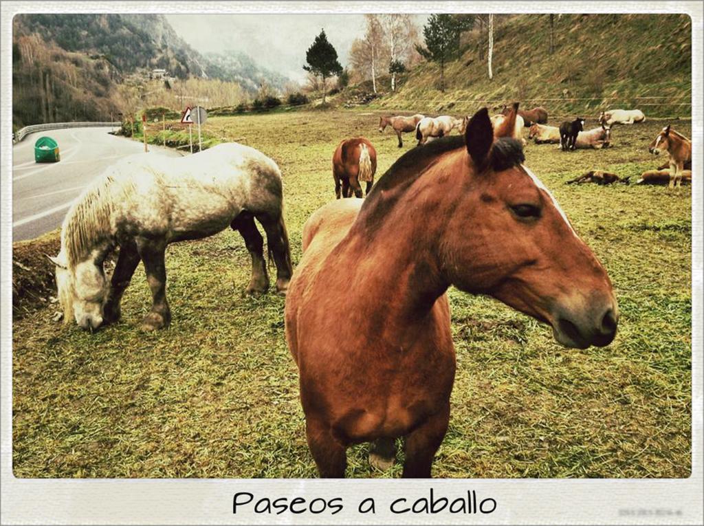 Sant Miquel 3* Andorra la Vella